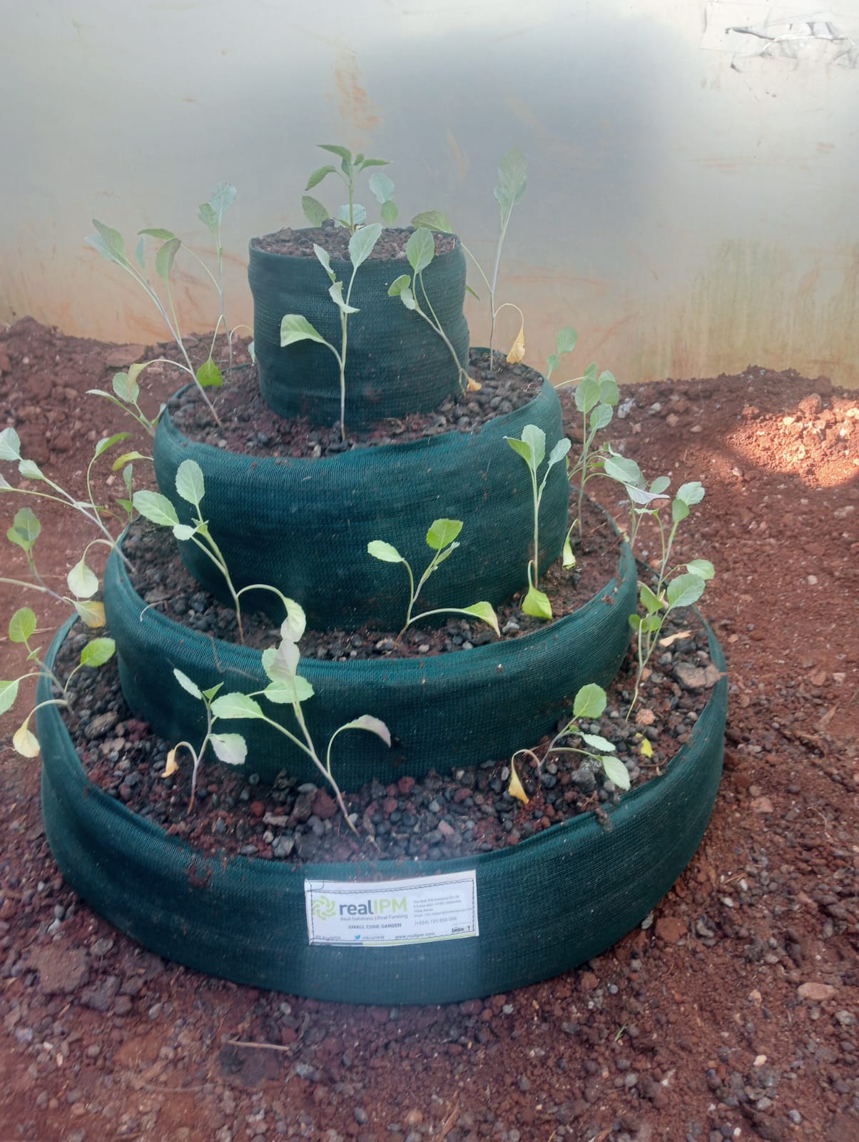 Real nursery process at Toree Farm